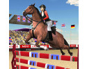 말_점프_쇼_3D_게임_(HORSE_JUMPING_SHOW_3D)_플레이장면