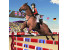 말_점프_쇼_3D_게임_(HORSE_JUMPING_SHOW_3D)_플레이장면