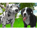 개_시뮬레이터_3D_게임_(DOG_SIMULATOR_3D)_플레이장면