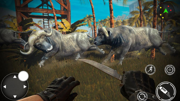 사파리 속 사냥꾼 게임 ANIMAL SAFARI HUNTER 2020 플레이 모습