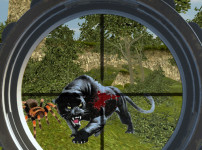 와일드사냥꾼 정글 속 슈팅 게임 WILD HUNT: JUNGLE SNIPER SHOOTING 플레이 모습