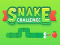 뱀_길이_키우기_게임_(SNAKE_CHALLENGE)_플레이장면