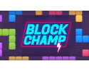 블록_챔피언_게임_(BLOCK_CHAMP)_플레이장면