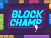 블록_챔피언_게임_(BLOCK_CHAMP)_플레이장면