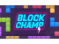 블록_챔피언_게임_(BLOCK_CHAMP)_플레이장면