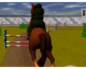 말_3D_점프_게임_(JUMPING_HORSE_3D)_플레이장면