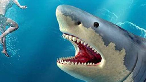 상어 사냥 게임 (SHARK HUNTING)