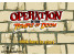 인간_장기_적축하기_게임_Operation_in_the_Temple_of_Doom_플레이_화면