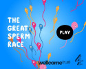 위대한_정자_레이싱_게임_The_Great_Sperm_Race_플레이_화면