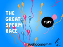 위대한_정자_레이싱_게임_The_Great_Sperm_Race_플레이_화면