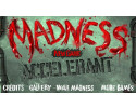 미치광이_죽이기_총싸움게임_Madness_Accelerant_플레이_화면